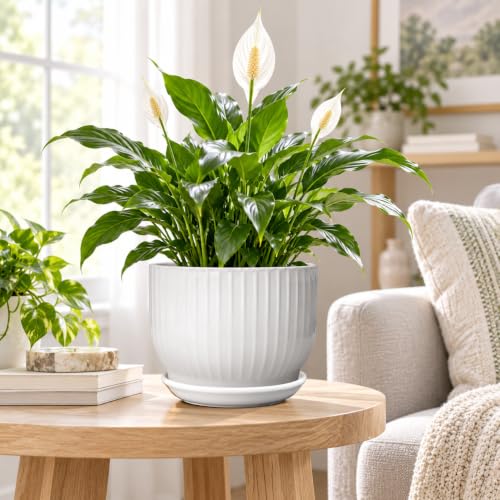 8 Inch Ceramic Plant Pot,White - color: Pure White, size: 8 Inch(1 PCS)