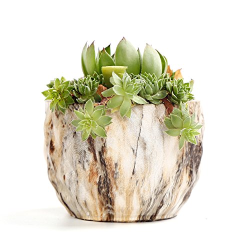 Sun-E Ceramic Succulent Pots, 3.35 Inch Marbled Flower Pots, Set of 4