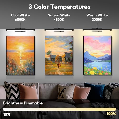 20" Picture Light for Wall Black Rechargeable Wireless Remote Lights Dimmable LED Art Painting Light with 3 Color Temp Display for Gallery Artwork Paintings Portraits Dartboards Display - color: Black, size: 20IN