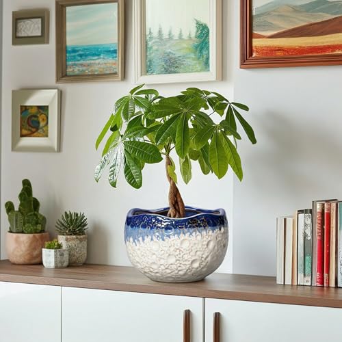 Ceramic Planter 8 Inch, Ceramic Plant Pots Indoor, Beige-Blue - color: Beige-blue, size: 8.2 Inch