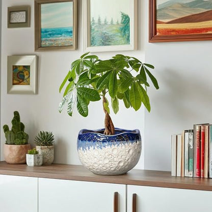 Ceramic Planter 8 Inch, Ceramic Plant Pots Indoor, Beige-Blue - color: Beige-blue, size: 8.2 Inch