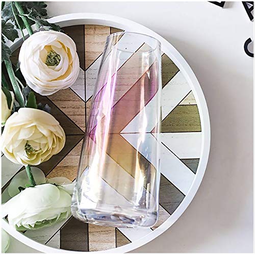 FANTESTICRYAN Modern Glass Vase, 8.7''H Decor Flower Vases Iridescent Clear - color: Neon Clear