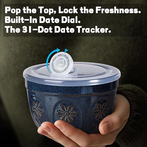 Artena Meal Prep Containers 22 OZ, 4 Pack Snack Containers, Reusable Food Storage Containers With Lids For Soup Yogurt Oatmeal Lunch Breakfast, Ceramic Cereal Bowls (Blue, Pinwheel Flower) - size: 5.15 inch (Pinwheel Flower, Blue)