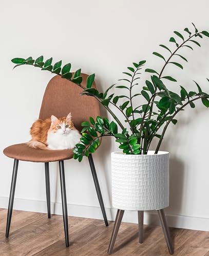 D'vine Dev Planter Pot with Wood Stand, 12 in, Matte White, 88-Z-C-1 - color: Matte White, size: Large