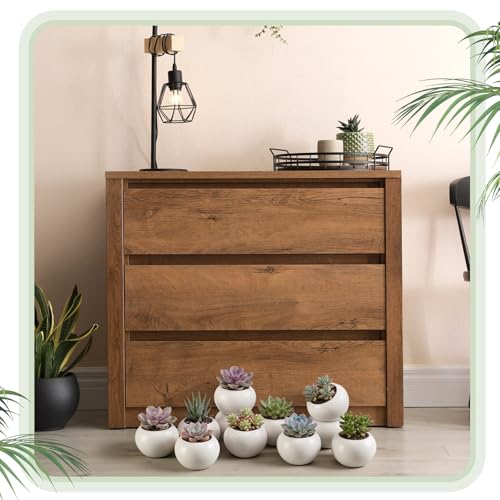 24 Pack 2.5 Inch Small Succulent Pots, White, Classic - style: Classic