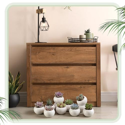 24 Pack 2.5 Inch Small Succulent Pots, White, Classic - style: Classic