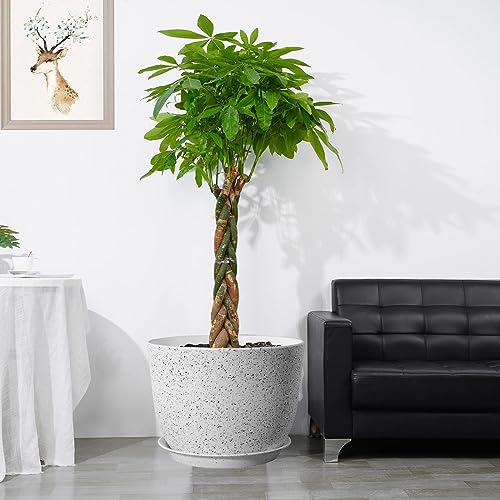 UOUZ 12inch Large Plant Pot, Modern Plastic Planter with High Driange Holes and Saucer for Indoor Outdoor Garden Plants and Flowers, White Speckles - color: White Speckles