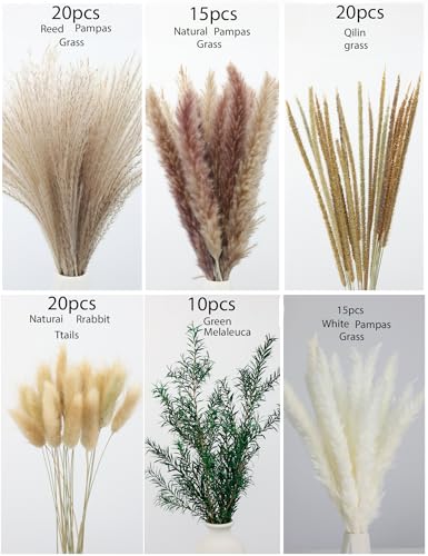xin's convey 100 PCS Pampas Grass (Vase Not Included), Dried Flowers Bouquets, Wedding Table Decor, Bedroom, Rustic Farm Decor.(Green) - color: Green