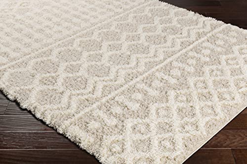 Livabliss Hapsburg Moroccan Shag Area Rug,10' x 14',Beige - color: Beige, size: 10' x 14' (Rectangular)