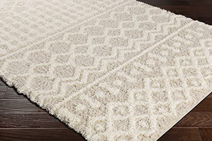 Livabliss Hapsburg Moroccan Shag Area Rug,10' x 14',Beige - color: Beige, size: 10' x 14' (Rectangular)