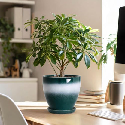 Ceraimc 6 Inch Planters, Ceraimc Pots for Plants, Green-White - color: Green-white, size: 6 Inch