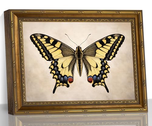 Vintage Yellow Butterfly Animal Insect Gold Frame Wall Art Canvas Print - color: Yellow Swallowtail Butterfly, size: 16"L x 12"W