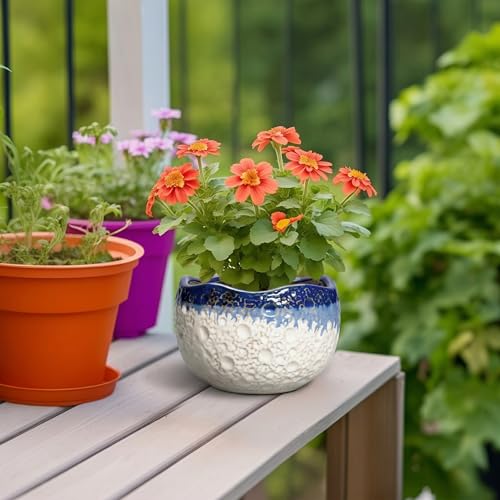 Ceramic Plant Pots, 6 Inch Orchid Pot with Drainage, Beige-Blue - color: Beige-blue, size: 6.2 Inch