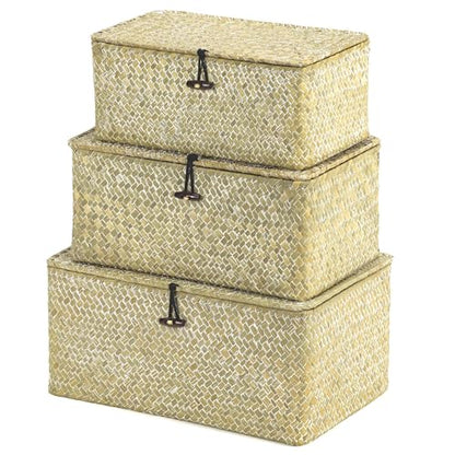 Nonam Wicker Storage Basket with Lid,Seagrass Shelf Basket Set of 3,White - color: Standard White* Set of 3