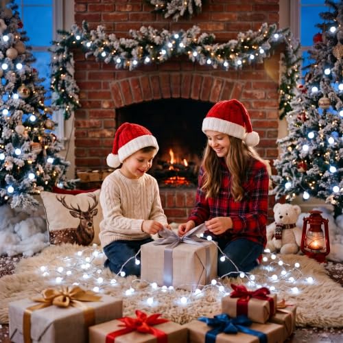 Minetom Battery Operated String Lights, 21FT 60 LED Classroom Lights - color: Pure White, size: 1 Pack