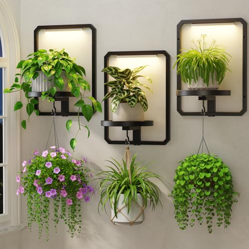 LASZOLA Plant Picture Frame Holder Shelf Wall with Lights, 3 Pcs Black - color: Glossy Black with Lights, size: 3