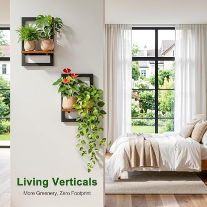 Housolution 2 Pack Wall Plant Holder, Picture Frame Design Plant Shelf