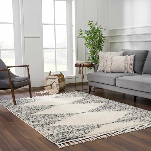 Hauteloom Berber Shag Collection - Howth Farmhouse Entryway, Bedroom, Kitchen Shaggy Runner Rug with Tassel - Fluffy Plush High Pile Carpet - Southwestern Tribal Style - Beige, Black - 2'7" x 7'3" - color: Beige, Black, White / Howth, size: 2'7" x 7'3" (R