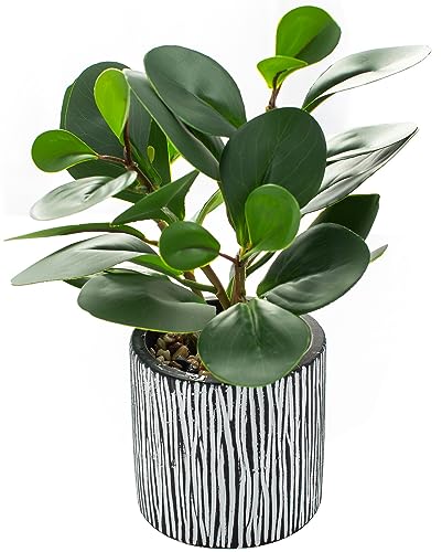 AlphaAcc Fake Plant 8" Black Clay Planter Farmhouse Bath Kitchen Decor - color: Green Greenery Plant 8" H