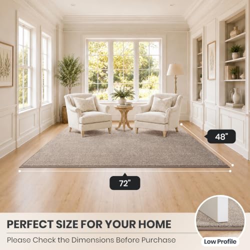 PURRUGS Area Rug, 48" x 72", Taupe - color: Taupe, size: 48" X 72"