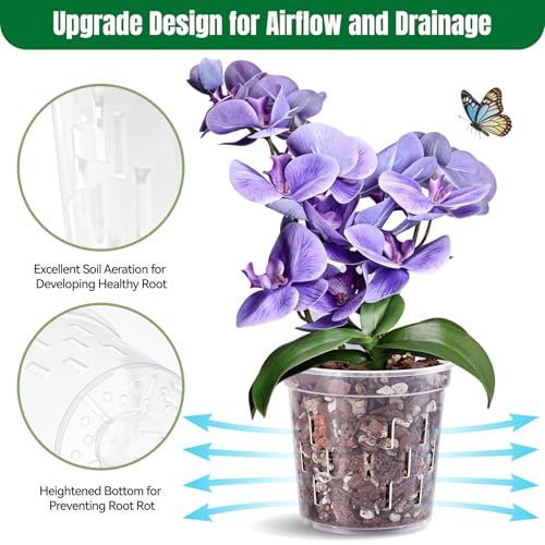TRUEDAYS Orchid Pot with Saucers, 6 Pack 4 Inch Plant Pot with Drainage - size: 4Inch-6Pack with 6 Saucers