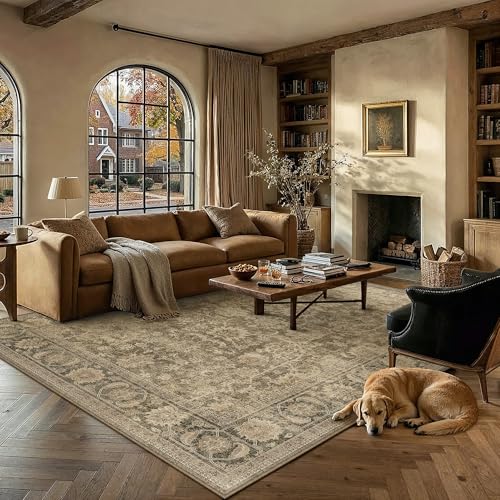 PureCozy 6x9 Brown Area Rug for Living Room Vintage Distressed - color: Brown, size: 6' x 9' (Rectangular)