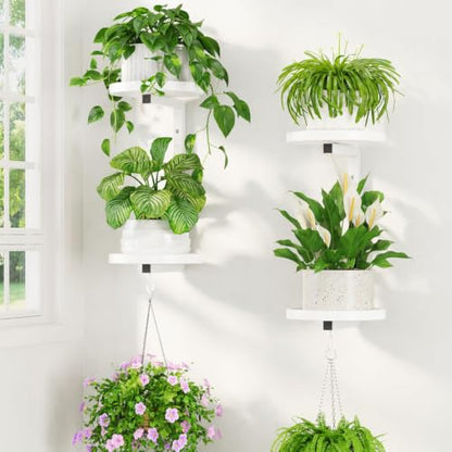 LASZOLA Plant Hanger Holder Window Shelf Wall Mounted Indoor, 2 Pcs White - color: Pure White, size: 2