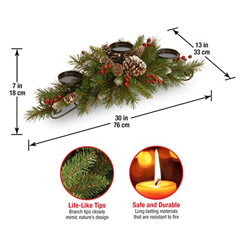 National Tree Company 30in Unlit Frosted Berry Christmas Centerpiece