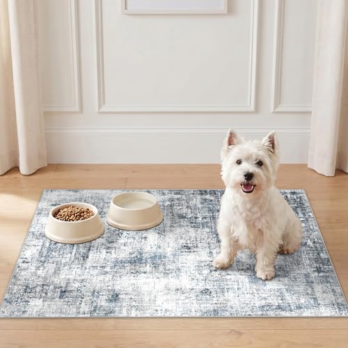 2x3 Small Area Rug for Entryway: Washable Non Slip Modern Door Mat Blue - color: Blue, size: 2' x 3' (Rectangular)