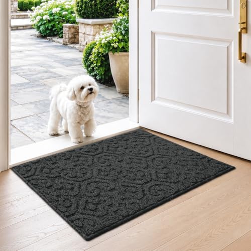 DEXI Front Door Mat Indoor Entrance, 24x36 Entryway Doormat, Dark Grey - color: Dark Grey, size: 24" X 36" (Rectangular)