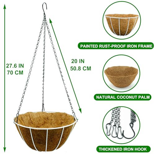 HOSY 2-Pack 12-in Hanging Metal Planter Baskets with Coconut Fibre Liner - color: Stripes - Black