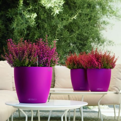 Lechuza 13185 Classico Color 21 Self-Watering Garden Planter for Indoor and Outdoor Use, Purple Garnet Matte - color: Purple Garnet Matte, style: 21