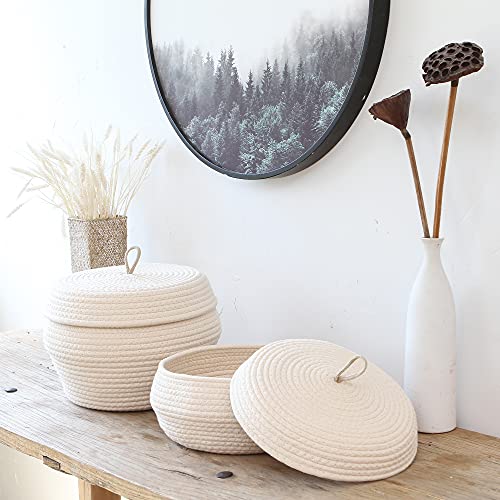 Sea Team Round Woven Cotton Rope Storage Basket with Lid, Cream - color: Cream, size: Large