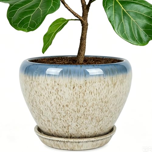Deep Dream 10 Inch Plant Pot- Ceramic Planter Pot Round Plant Pots for Indoor Plants Outdoor Large Flower Pot with Drainage Holes & Trays, Beige&Blue - color: Beige&blue, size: 10 Inch