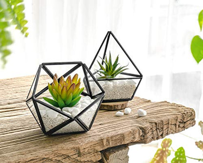 Mkono 3 Pack Fake Succulent in Geometric Glass Terrarium Black Office Decor - color: Black