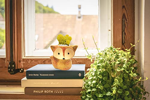 DIYOMR Animal Ceramic Planter Pot, 3.9" Fox Shaped Planters Ceramic Flowerpot Small Succulent Pots Cactus Pot for Home Decor Office Desktop Decoration - Plants Not Included (Yellow) - color: Yellow