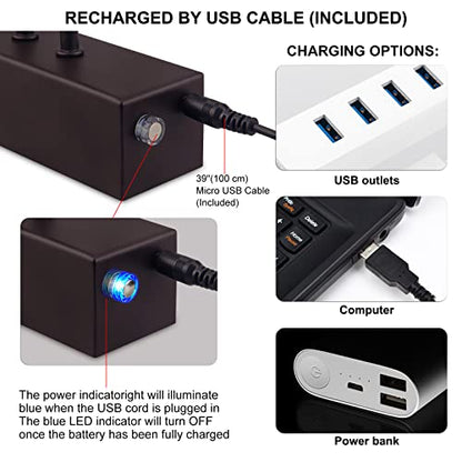 HEAGEERO Picture Lights for Wall,13in Gallery Light,5000mAh Art Light - color: Black-13"