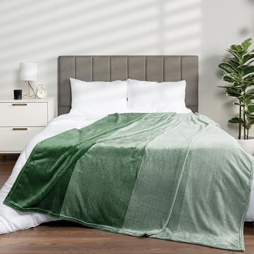 PAVILIA Green Ombre Fleece Throw Blanket for Couch Sofa Bed, 60x80 Twin - color: Gradient - Green, size: 60 x 80 Inches - Twin