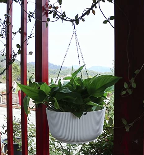 Dexceder 11.2 Inch Self Watering Hanging Planter (2 Pack, White) - color: White, size: 11.2 inch