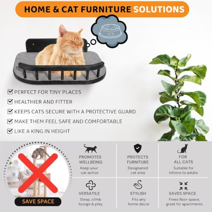 Cat Wall Shelves, Modern Cat Wall Furniture for Indoor Cats - Black - color: Black, 3 Steps + Perch