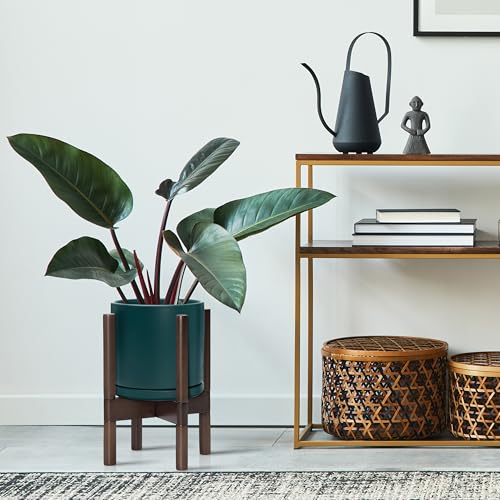 D'vine Dev Ceramic Pot with Walnut Wood Stand, Teal, 8 in, 55-B-Y-4 - color: Teal Pot + Walnut Color Stand, size: 8 Inch