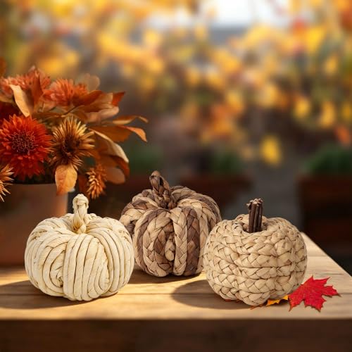 Lulu Home Set of 3 Handwoven Pumpkins Decor - color: Cream & Brown Blend