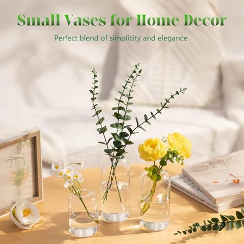 Glasseam Glass Bud Vases for Centerpieces, 3Pcs Modern Clear Small Vase Set - color: Clear