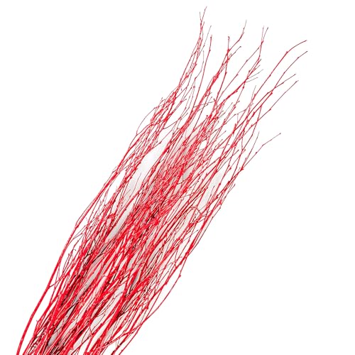 Branches for Vase, 3'–4' Natural Birch Tree Branches for Decoration, Bundle of 10 Tall Decorative Sticks for Vases, Rustic Wood Branches for Crafts, Weddings, Seasonal & Home Décor - Red - color: Red
