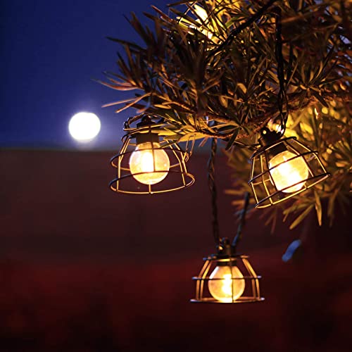 Vigdur Lantern String Lights, 10 G40 Bulbs Patio String Lights, 11FT