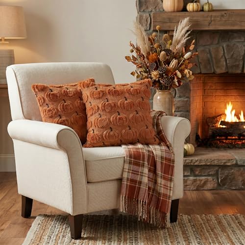 AVOIN colorlife Caramel Fall Pumpkin Throw Pillow Covers 20x20 Inch - color: Caramel, size: 20" x 20" (Pack of 2)