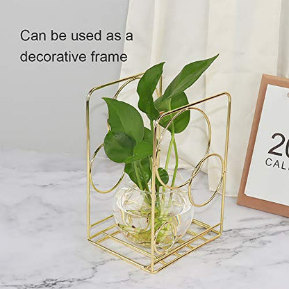Metal Gold Bookends,Beautiful, Not Rusty, 5.3 in × 3.9 in × 7.6 in - color: Gold Circle
