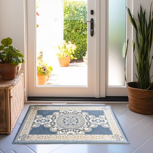 CHICHIC 32 x 48 Inch Indoor Door Mat for Home Entrance, Inside Outdoor Outside Entryway Rugs Indoor Welcome Mat Anti-Slip Rubber Back Low Profile, GrayBlue - color: Gray Blue, size: 2'8" x 4' (Rectangular)