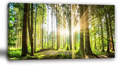 Yxbhhym-Landscape Tree Canvas Wall Art Décor Spring Forest Picture Painting Natural Sun Prints Art Green Room Decor Sunset Poster Living Room Wall Decor Bedroom Artwork for Walls Office Decorations - color: Blandscape, size: 40"L x 20"W