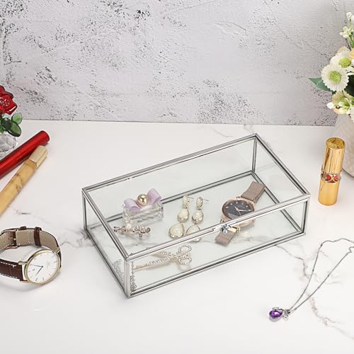 Hipiwe Glass Keepsake Display Box Large Clear Jewelry Lidded Boxes with Lid - color: Silver, size: Large
